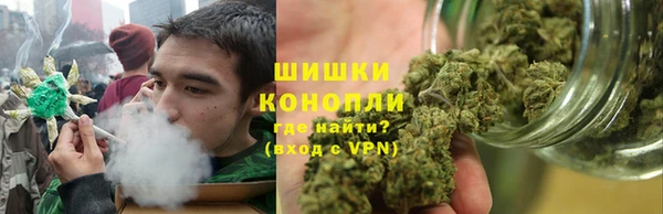 стафф Семикаракорск