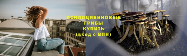 СК Алексин
