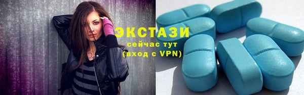 СК Алексин