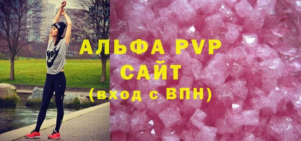 СК Алексин