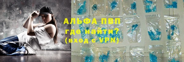 СК Алексин