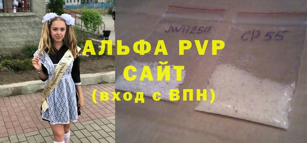 СК Алексин