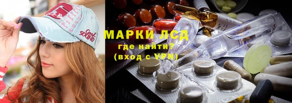 СК Алексин