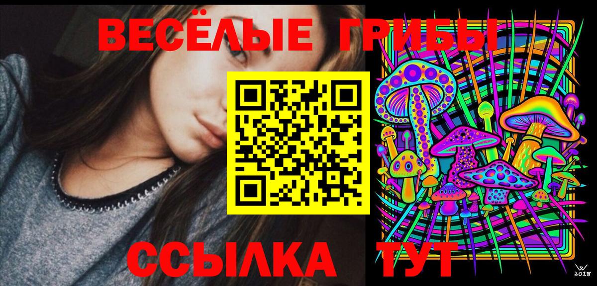 где найти наркотики  Галлюциногенные грибы мухоморы  Бахчисарай  Вход с VPN  Галлюциногенные грибы прущие грибы 